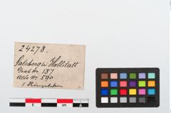 Etiketten zu Bronzering (NHMW-PRAE-024278)